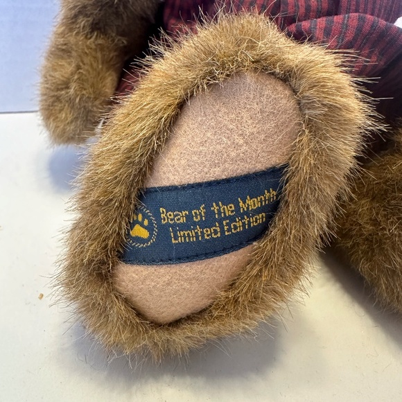 2006 Boyds Bear * Bear of the Month* Sally Autumn large L/E Doll 919872 - Picture 4 of 6